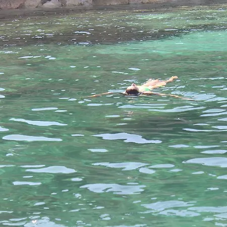 Bed & Breakfast Algherooms