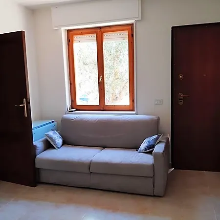 Algherooms *