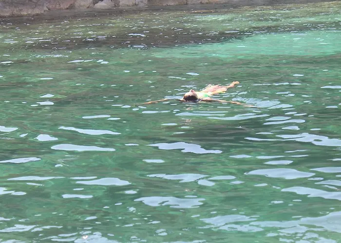 住宿加早餐酒店 Algherooms